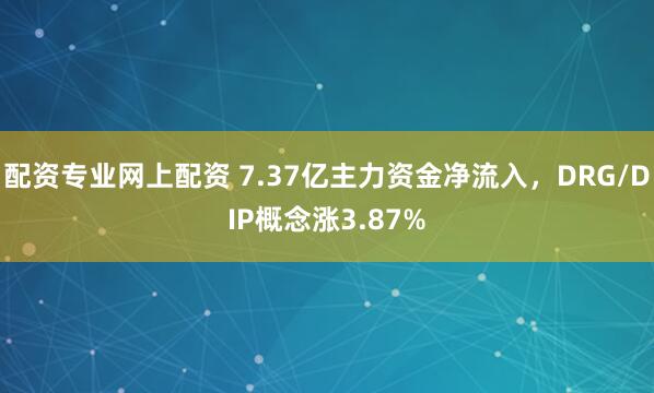 配资专业网上配资 7.37亿主力资金净流入，DRG/DIP概念涨3.87%